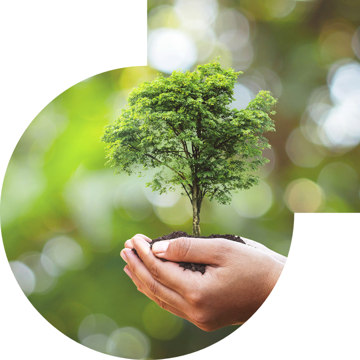 关怀人类、文化、环境与社会